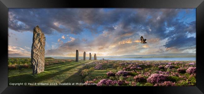 View of the Enigmatic Neolithic Stone Circle of Brodgar, Orkney Framed Print by Paul E Williams