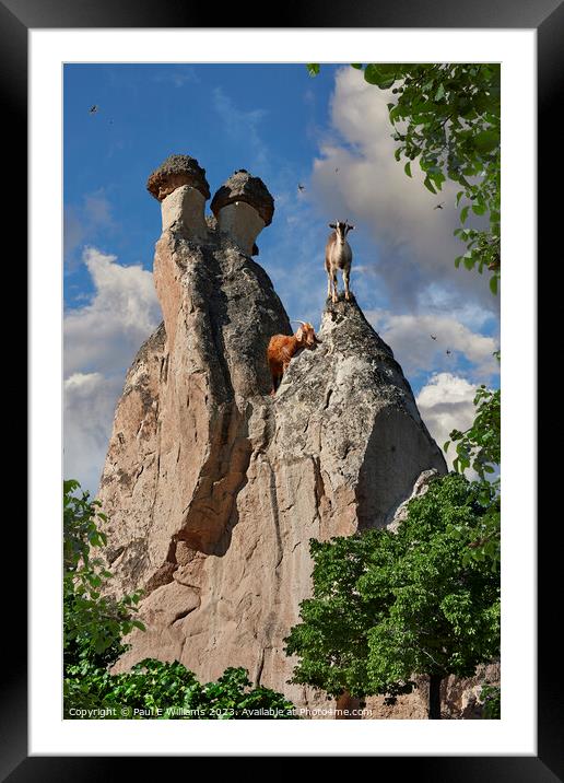 View of Goats on a Spectacular  Fairy Chimney Rock Formations in Framed Mounted Print by Paul E Williams