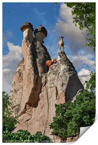 View of Goats on a Spectacular  Fairy Chimney Rock Formations in Print by Paul E Williams
