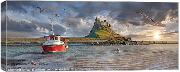 The Small Harbour, Seals & the Picturesque Lindisfarne Castle  Canvas Print by Paul E Williams