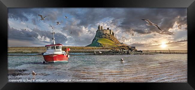 The Small Harbour, Seals & the Picturesque Lindisfarne Castle  Framed Print by Paul E Williams