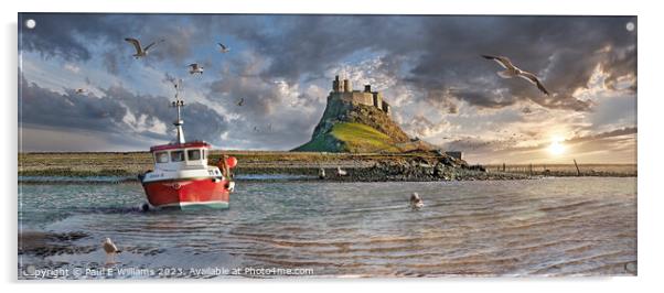 The Small Harbour, Seals & the Picturesque Lindisfarne Castle  Acrylic by Paul E Williams