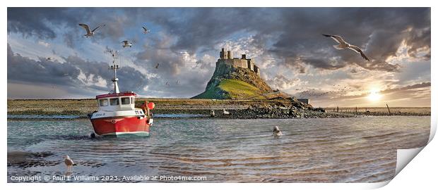 The Small Harbour, Seals & the Picturesque Lindisfarne Castle  Print by Paul E Williams