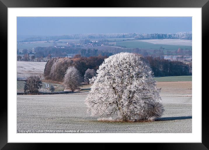 Winter landscape with frozen trees in field and blue sky Framed Mounted Print by Lubos Chlubny