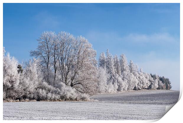 Winter landscape with trees covered with hoarfrost Print by Lubos Chlubny