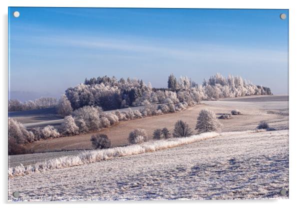 Winter landscape with frozen trees in field and blue sky Acrylic by Lubos Chlubny