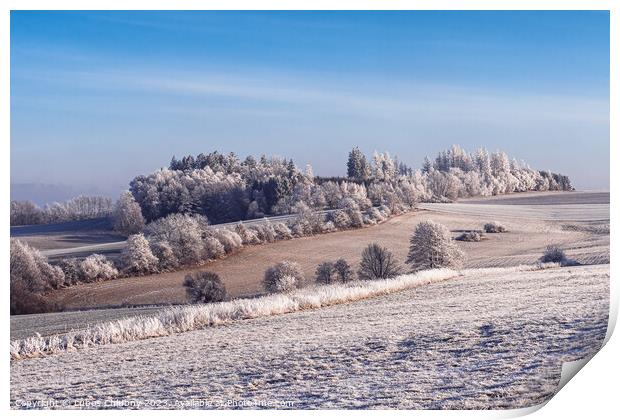 Winter landscape with frozen trees in field and blue sky Print by Lubos Chlubny