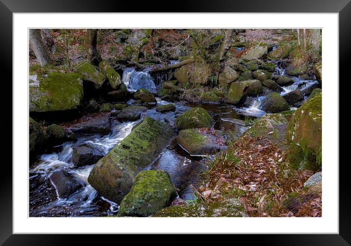 Padley Gorge Framed Mounted Print by Horace Goodenough