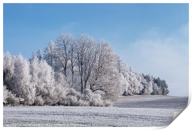 Winter landscape with trees covered with hoarfrost Print by Lubos Chlubny