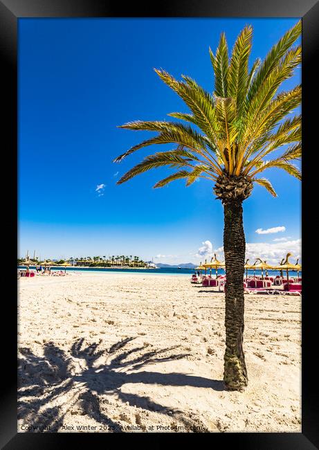 Alcudia beach  Framed Print by Alex Winter