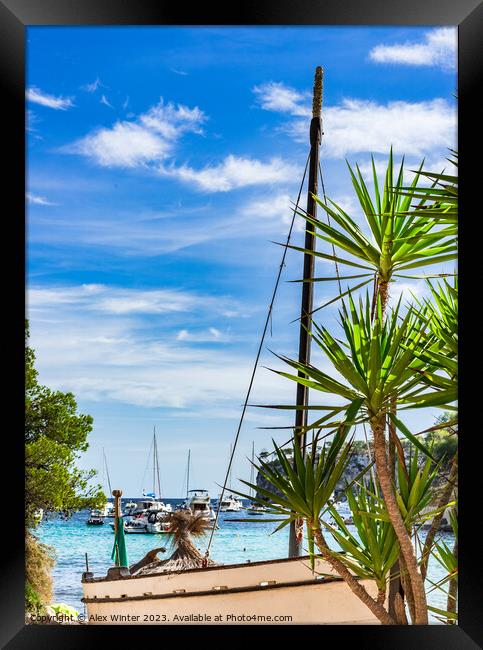 Luxury yachts boats in beautiful bay Framed Print by Alex Winter