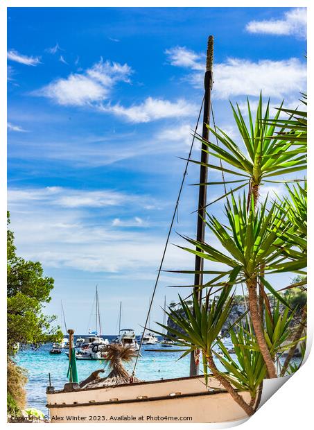Luxury yachts boats in beautiful bay Print by Alex Winter