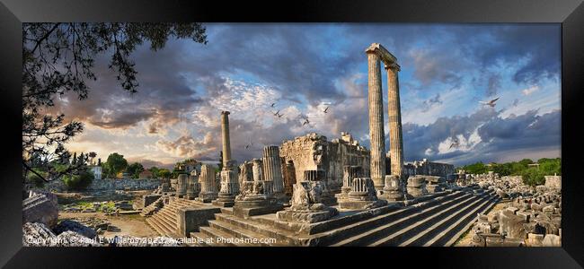 The Picturesque Ancient Greek ruins of Didyma Apollo Temple Framed Print by Paul E Williams