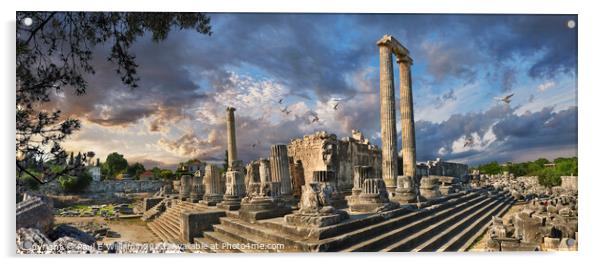 The Picturesque Ancient Greek ruins of Didyma Apollo Temple Acrylic by Paul E Williams