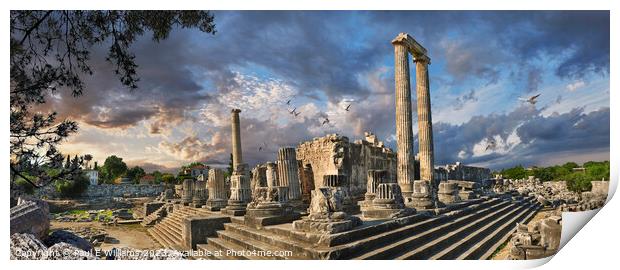 The Picturesque Ancient Greek ruins of Didyma Apollo Temple Print by Paul E Williams