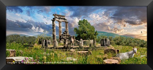 The Beautiful Ruins of the Ancient Greek Thols Temple of Delphi Framed Print by Paul E Williams