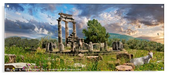 The Beautiful Ruins of the Ancient Greek Thols Temple of Delphi Acrylic by Paul E Williams