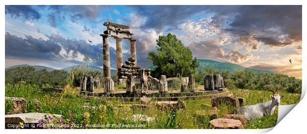 The Beautiful Ruins of the Ancient Greek Thols Temple of Delphi Print by Paul E Williams