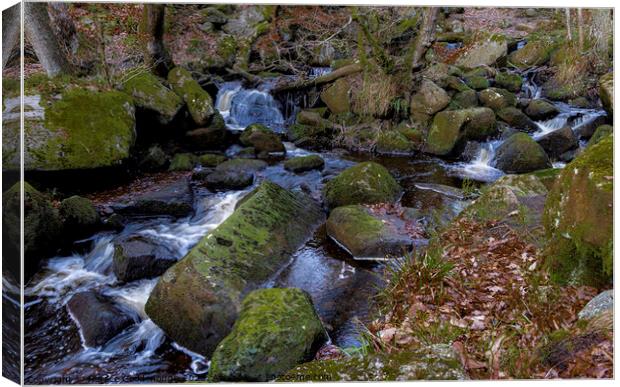 Padley Gorge Canvas Print by Horace Goodenough