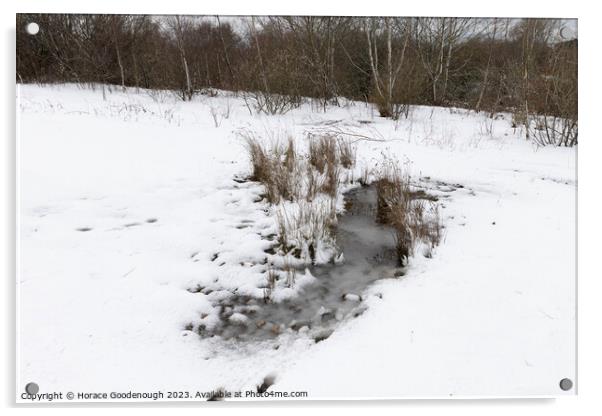 The frozen pond Acrylic by Horace Goodenough