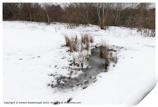 The frozen pond Print by Horace Goodenough