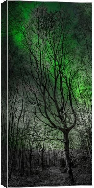 A GLIMPSE OF THE NORTHERN LIGHTS Canvas Print by Tony Sharp LRPS CPAGB