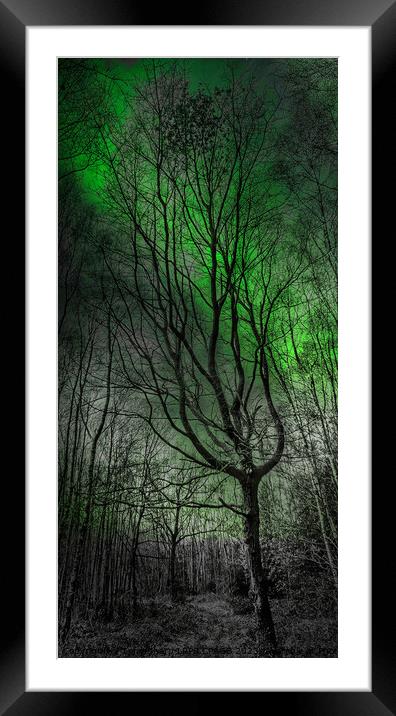 A GLIMPSE OF THE NORTHERN LIGHTS Framed Mounted Print by Tony Sharp LRPS CPAGB