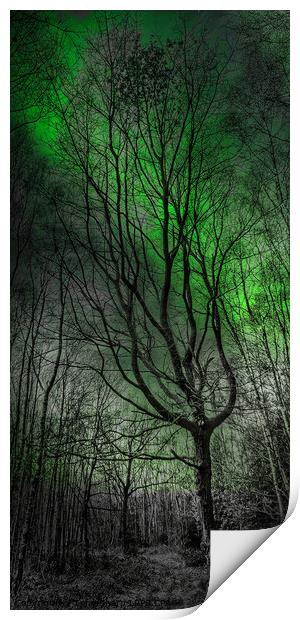 A GLIMPSE OF THE NORTHERN LIGHTS Print by Tony Sharp LRPS CPAGB