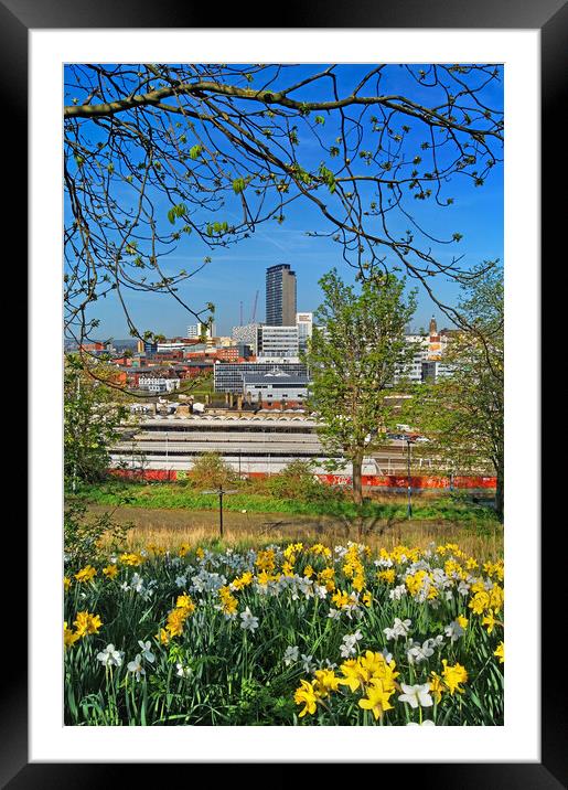 Sheffield Skyline     Framed Mounted Print by Darren Galpin