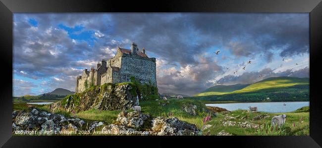 The Dramatic Wild Picturesque Duart Castle Isle of Mull Framed Print by Paul E Williams