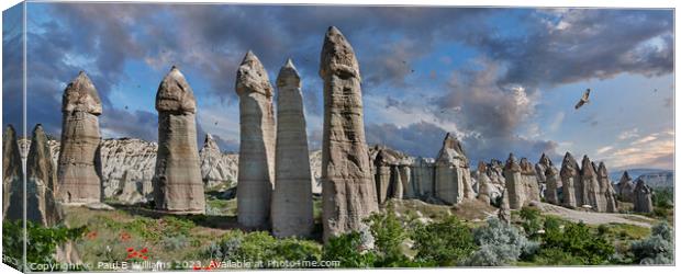 Spectacular Cappadocia Fairy Chimney Rock Formations in Summer Canvas Print by Paul E Williams