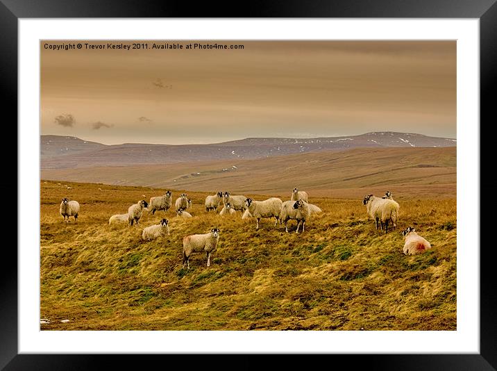 Winter on the Moors Framed Mounted Print by Trevor Kersley RIP