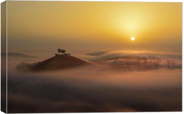 Colmer's Hill Misty Gold Canvas Print by David Neighbour