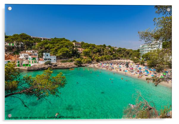 Sand beach on Majorca seaside of Cala Santanyi Acrylic by Alex Winter