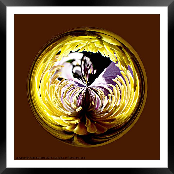 Spherical Paperweight Lobellia Framed Mounted Print by Robert Gipson