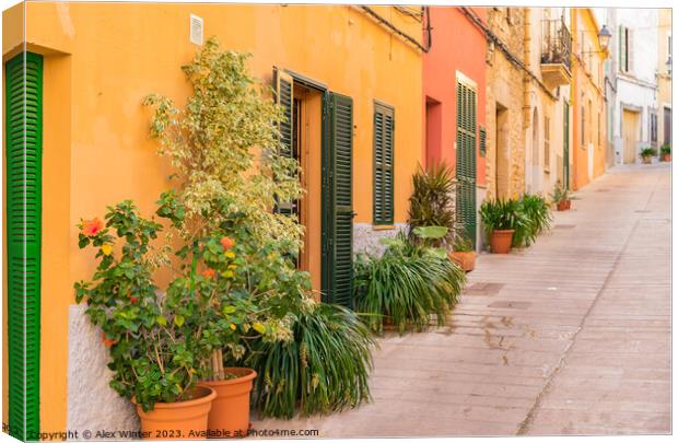 Idyllic street in the old town of Alcudia  Canvas Print by Alex Winter