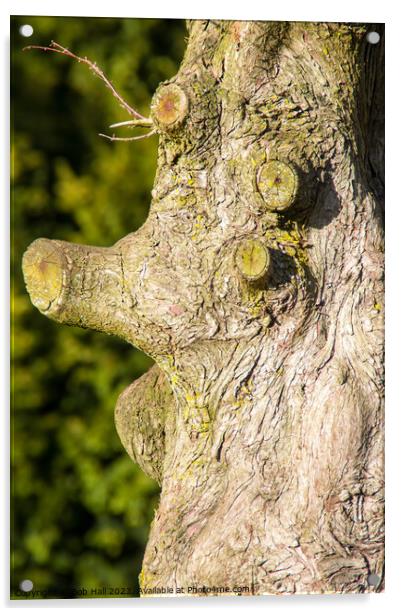 Tree face Acrylic by Bob Hall