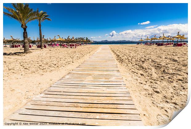 Wooden footpath on the sand beach Print by Alex Winter