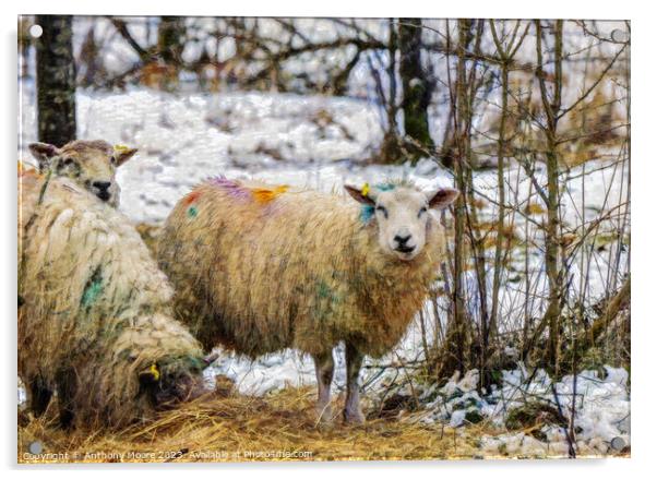 Rainbow Sheep Acrylic by Anthony Moore
