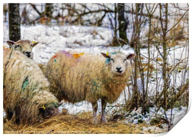 Rainbow Sheep Print by Anthony Moore
