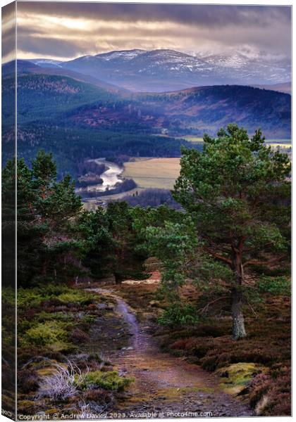 Royal Deeside and the Cairngorms Canvas Print by Andrew Davies