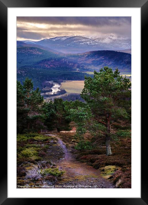 Royal Deeside and the Cairngorms Framed Mounted Print by Andrew Davies