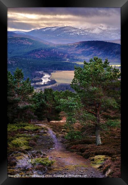 Royal Deeside and the Cairngorms Framed Print by Andrew Davies