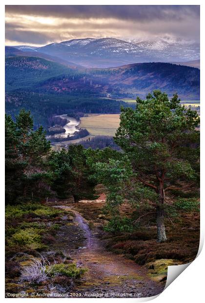 Royal Deeside and the Cairngorms Print by Andrew Davies