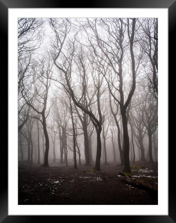 Ghost Tree in Fog Framed Mounted Print by James Elkington
