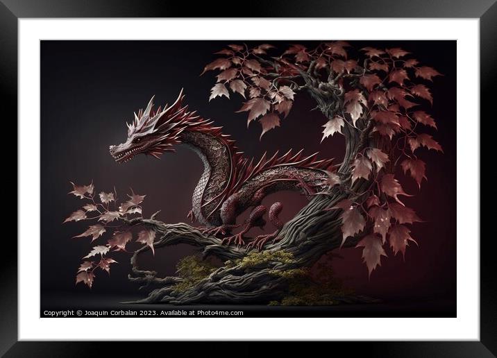 An Asian dragon, elongated snake-like and scaly, isolated on bac Framed Mounted Print by Joaquin Corbalan