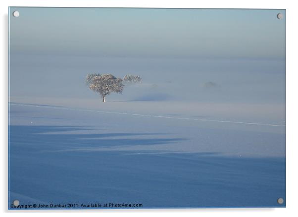 Trees in the Mist Acrylic by John Dunbar