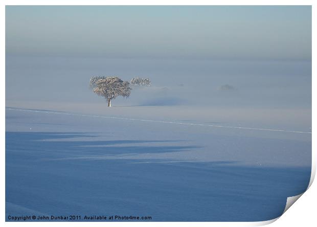 Trees in the Mist Print by John Dunbar