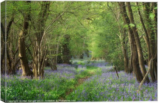 Bluebell Woodlands Warwickshire #01 - April 2022 Canvas Print by Alan Ranger
