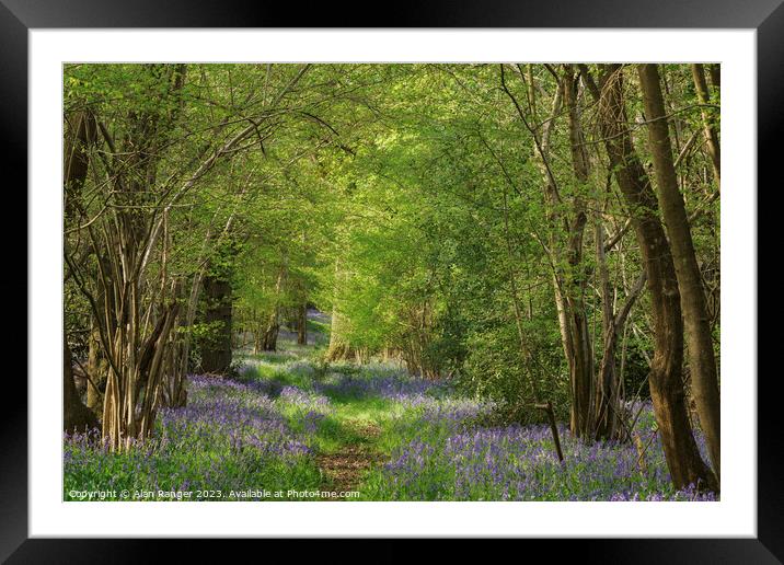 Bluebell Woodlands Warwickshire #03 - April 2022 Framed Mounted Print by Alan Ranger